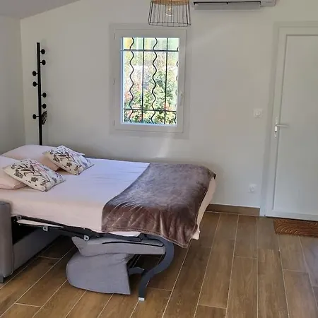 T2 Renove Avec Jardin
