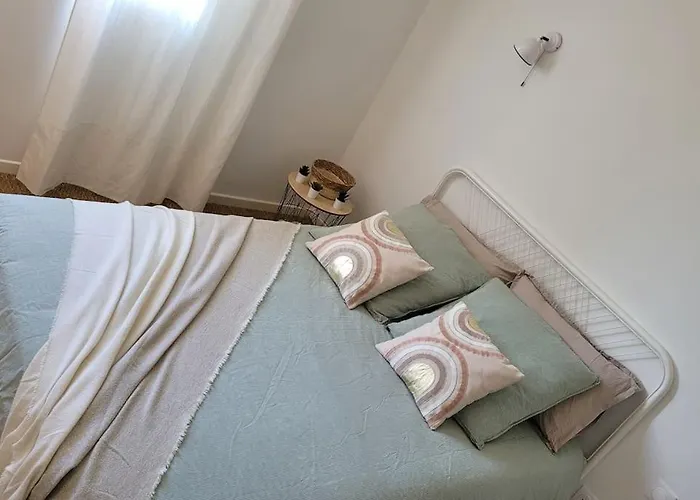 T2 Renove Avec Jardin Daire Saint-Mathieu-de-Tréviers