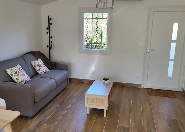 T2 Renove Avec Jardin