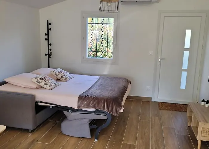 T2 Renove Avec Jardin